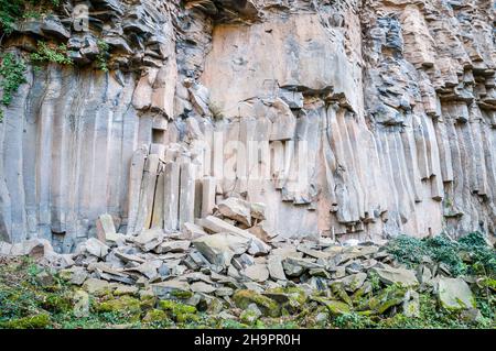 Colonnes de lave verticales, ancien flux de lave, colonne de basalte, forme hexagonale, Sant Joan les Fonts, Garrotxa, Catalogne, Espagne Banque D'Images