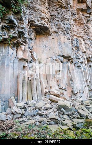 Colonnes de lave verticales, ancien flux de lave, colonne de basalte, forme hexagonale, Sant Joan les Fonts, Garrotxa, Catalogne, Espagne Banque D'Images