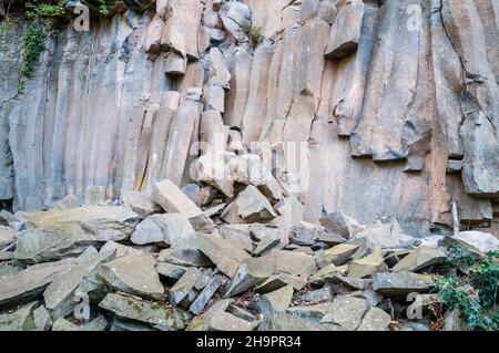 Colonnes de lave verticales, ancien flux de lave, colonne de basalte, forme hexagonale, Sant Joan les Fonts, Garrotxa, Catalogne, Espagne Banque D'Images