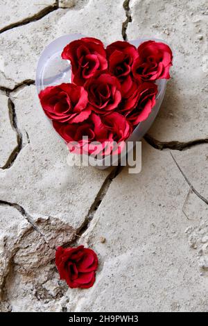 Boîte en plastique en forme de coeur avec des roses artificielles sur sol argileux sec, affliction symbolique, tricherie symbolique, motif photo surréaliste, surréaliste Banque D'Images