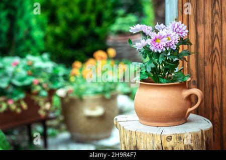 Chrysanthème en terre cuite fleur pot à la souche d'arbre.Décoration de fleurs dans le jardin ornemental.Saison d'été à l'arrière-cour.Plante à fleurs en pot Banque D'Images