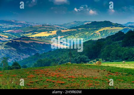 Paysage rural près de Monterubbiano et Ripatransone, entre les provinces de Fermo et Ascoli Piceno, Marche, Italie, au printemps Banque D'Images