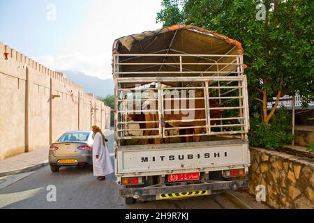 Marché aux bovins, souk, oasis ville de Nizwa, Nizwa, Oman Banque D'Images