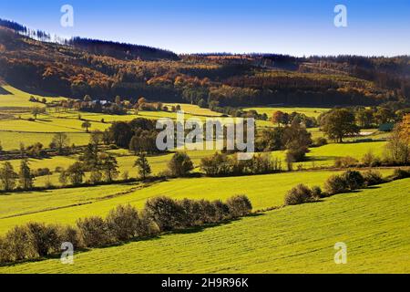 Paysage dans la vallée d'Ebbebach au-dessous de la Nordhelle, Herscheid, pays aigre, Rhénanie-du-Nord-Westphalie, Allemagne Banque D'Images