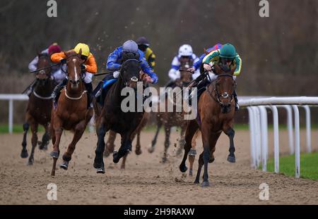 Coureurs et cavaliers, y compris le gagnant éventuel Greek Flame et le jockey Connor Beasley (deuxième à gauche) pendant les mises de Betway Novice à l'hippodrome de Wolverhampton.Date de la photo: Mercredi 8 décembre 2021. Banque D'Images