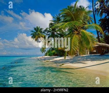 Plage tropicale sur l'île de Nakatcha Fushi aux Maldives. Banque D'Images