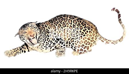 Couleur de la machine léopard indien [le léopard indien (Panthera pardus fusca) est une sous-espèce de léopard largement distribuée sur le sous-continent indien]. Tiré du livre « le grand et petit jeu de l'Inde, de la Birmanie et du Tibet » de Richard Lydekker, publié à Londres par R. Ward en 1900