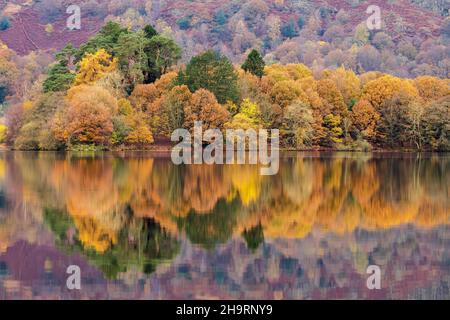 Réflexions d'automne sur Grasmere dans le Lake District, Cumbria Angleterre Royaume-Uni Banque D'Images