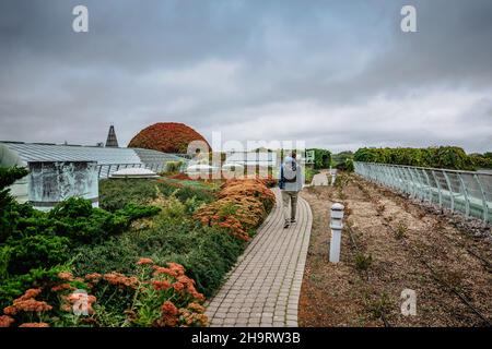 Randonnée touristique dans la bibliothèque unique de l'Université de Varsovie jardin de toit, plein de végétation, plantes, chemins et ponts différents.point d'observation du panorama de Varsovie Banque D'Images