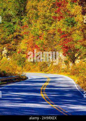 La couleur d'automne dans les arbres le long de la Blue Ridge Parkway en Caroline du Nord, États-Unis Banque D'Images