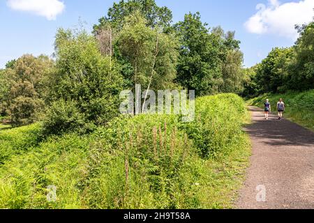 Marcheurs sur un sentier boisé dans la nouvelle Beechenhurst fermeture de la forêt de Dean près de Cannop, Gloucestershire Royaume-Uni Banque D'Images