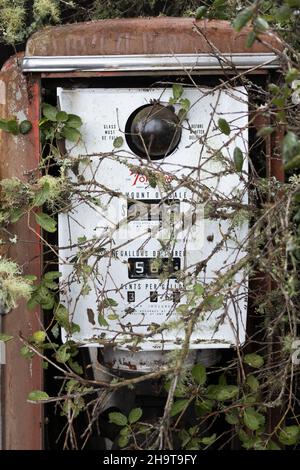 Une pompe à gaz antique surcultivée avec des mauvaises herbes et des branches d'arbre. Banque D'Images