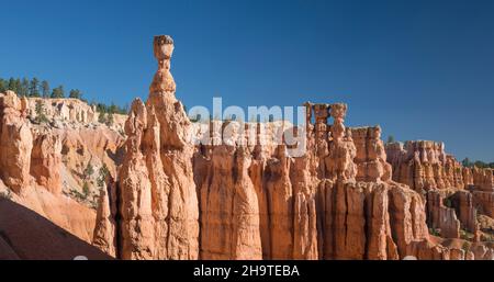 Parc national de Bryce Canyon, Utah, États-Unis.Vue sur le Queen's Garden depuis le Navajo Loop Trail, en dessous de Sunset point, Thor's Hammer proéminent. Banque D'Images