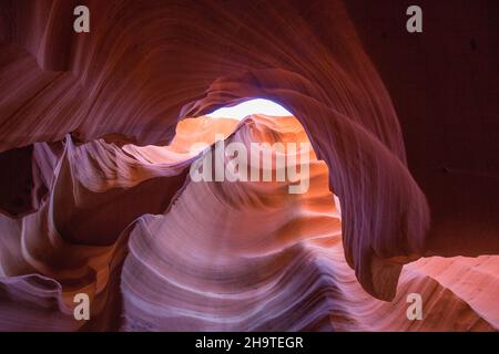 Page, Arizona, États-Unis.Les murs en grès Navajo colorés du Lower Antelope Canyon sculptés par l'eau dans des motifs abstraits. Banque D'Images