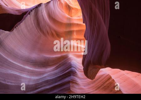 Page, Arizona, États-Unis.Les murs en grès Navajo colorés du Lower Antelope Canyon sculptés par l'eau dans des motifs abstraits. Banque D'Images