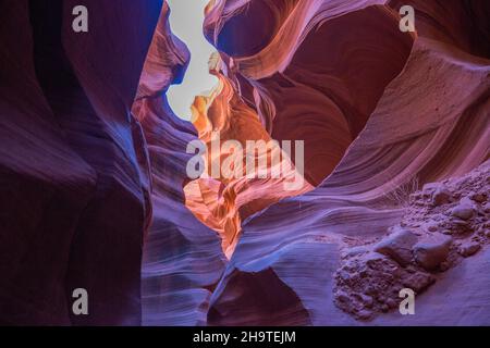 Page, Arizona, États-Unis.Les murs en grès Navajo colorés du Lower Antelope Canyon sculptés par l'eau dans des motifs abstraits. Banque D'Images