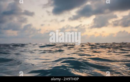 Surface de la mer, résumé gros plan vue à angle bas du point de vue de la personne nageante, ciel couvert le matin Banque D'Images