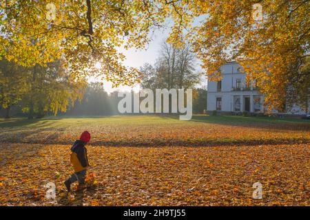 Érable sycamore, grande érable (Acer pseudoplatanus), enfants marchant à travers les feuilles d'automne à Jenischpark, Allemagne, Hambourg, Flottbek Banque D'Images