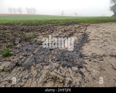 Champ fraîchement fertilisé en hiver, Allemagne, Rhénanie-du-Nord-Westphalie Banque D'Images