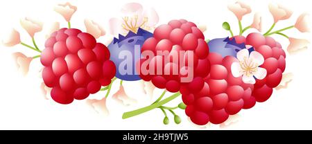 Pile de baies mûres.Bouquet de framboises et de bleuets avec fleurs sauvages.Illustration vectorielle Illustration de Vecteur