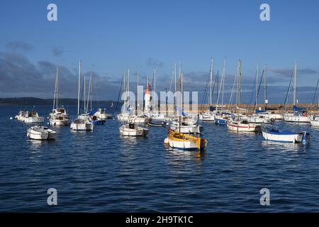 Voiliers éclairés au soleil dans le port d'Erquy, phare en arrière-plan , France, Bretagne, Département des Côtes-d'Armor, Erquy Banque D'Images