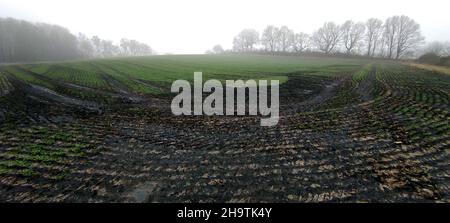 Champ fraîchement fertilisé en hiver, Allemagne, Rhénanie-du-Nord-Westphalie Banque D'Images