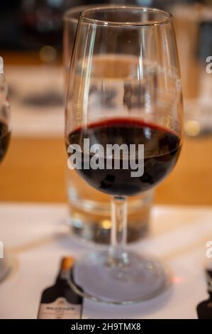 Dégustation professionnelle de différents desserts fortifiés rubis, vins de port tawny en verres dans les caves à vin de Porto, Portugal, gros plan Banque D'Images