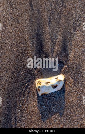 galets simples sur la plage, pierre sur la plage de sable, forme abstraite et ombre de pierre sur la plage de sable humide, sable noir et galets blancs sur la côte, formes. Banque D'Images