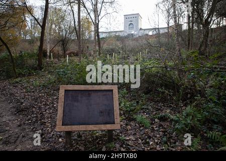 Runnymede, Royaume-Uni.8th décembre 2021.De jeunes arbres de la forêt des souvenirs sont plantés dans la forêt des souvenirs, dans la forêt historique de Cooper's Hill Woods.The Forest of Memories est une entreprise communautaire qui travaille à la création de mémoriaux vivants pour les proches perdus par Covid-19.Chaque arborescence de mémoire représente un individu ou un groupe et des codes QR et des balises NFC intégrées donnent aux visiteurs plus d'informations sur les individus ou les groupes qui sont mémorisés.Crédit : Mark Kerrison/Alamy Live News Banque D'Images