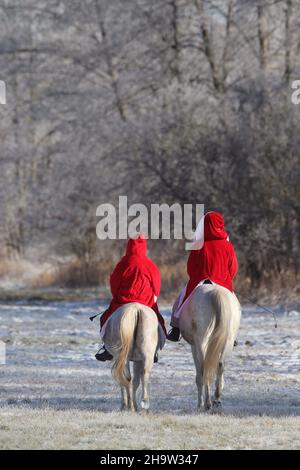 '31.01.2021, Allemagne, Brandebourg, Bruchmuehle - les hommes de Noël à cheval à travers la nature.00S210131D400CAROEX.JPG [VERSION DU MODÈLE : NON, PR Banque D'Images