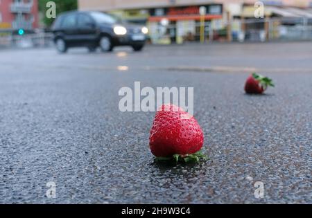 '17.05.2021, Allemagne, , Berlin - fraises mûres sur asphalte humide.00S210517D328CAROEX.JPG [AUTORISATION DU MODÈLE : NON, AUTORISATION DU PROPRIÉTAIRE : NON (c) caro im Banque D'Images