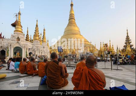 '21.01.2014, Myanmar, , Yangon - Un groupe de moines bouddhistes et de visiteurs s'assoient en priant devant la stupa dorée de la Pagode Shwedagon.Le pag bouddhiste Banque D'Images