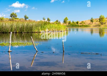 Vue sur le lac de Bivière par une belle journée d'été, parc national de Nebrodi, Sicile, Italie Banque D'Images