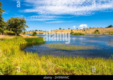 Vue sur le lac de Bivière par une belle journée d'été, parc national de Nebrodi, Sicile, Italie Banque D'Images