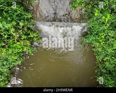 Vue de dessus d'une petite quantité d'eau de force s'écoulant de l'étang ou petit barrage dans la forêt Banque D'Images