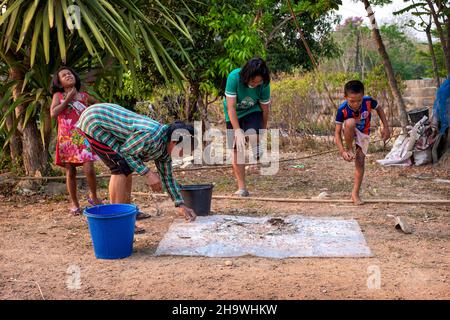 Récolte de rouge et d'oeufs en Thaïlande rurale Banque D'Images