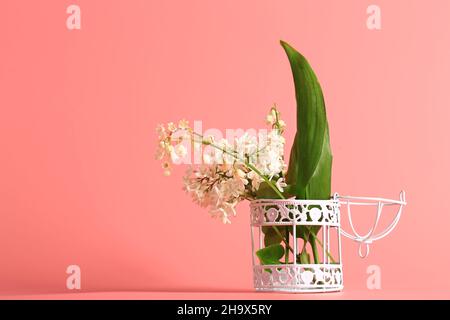 lilas blanc et nénuphars de la vallée dans une cage à oiseaux en fer sur fond rose Banque D'Images