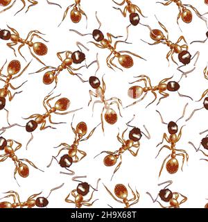 Fourmis rouges.Arrière-plan transparent.Illustration vectorielle. Illustration de Vecteur