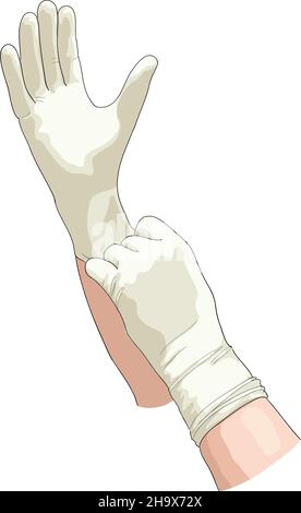 Mains dans des gants stériles.Illustration vectorielle. Illustration de Vecteur