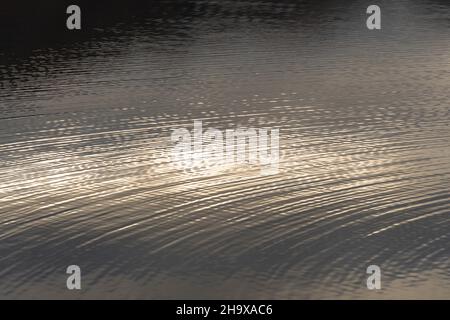 Ondulations sur la surface d'eau d'un lac, arrière-plan de motif abstrait Banque D'Images