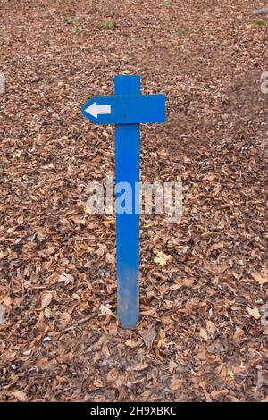 Signe directionnel avec une flèche en bois bleu avec un endroit pour une inscription sur un fond de feuilles d'automne sèches Banque D'Images