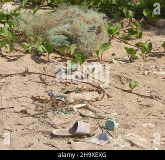 Les déchets de plastique, dont la plupart ont été jetés ou ont perdu du matériel de pêche, se trouvent sur la plage de la côte atlantique..Kartong, République de Gambie Banque D'Images