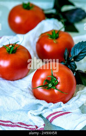 Tomates mûres fraîches et basilic violet sur une serviette Banque D'Images