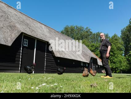 Éleveur principal dans sa grange traditionnelle de fermiers en bois noir avec toit de chaume à Zuid-Beveland, Zeeland, pays-Bas Banque D'Images