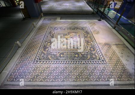 Gaziantep, Turquie.Musée de la mosaïque de Zeugma, l'une des plus grandes collections de mosaïques au monde. Banque D'Images