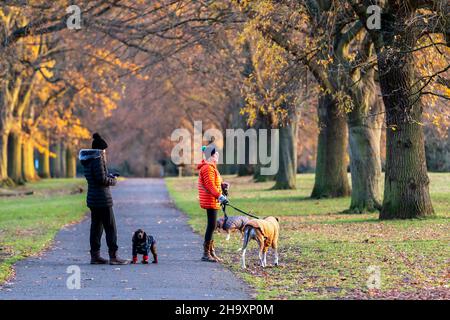 Northampton, Royaume-Uni, Météo.9th décembre 2021.Abinton Park, deux femmes ont cessé de profiter du soleil dans l'avenue des arbres tout en marchant là des chiens ce matin.Keith J Smith./Alamy Live News. Banque D'Images