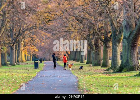 Northampton, Royaume-Uni, Météo.9th décembre 2021.Abinton Park, deux femmes ont cessé de profiter du soleil dans l'avenue des arbres tout en marchant là des chiens ce matin.Keith J Smith./Alamy Live News. Banque D'Images