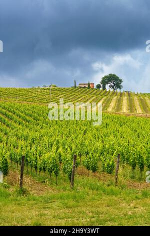 Paysage rural près de Monterubbiano et Ripatransone, entre les provinces de Fermo et Ascoli Piceno, Marche, Italie, au printemps Banque D'Images