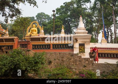 Une femme nourrit les macaques de Rhesus ou les singes de temple dans le complexe de temple de Swayambhunath à Katmandou, au Népal. Banque D'Images