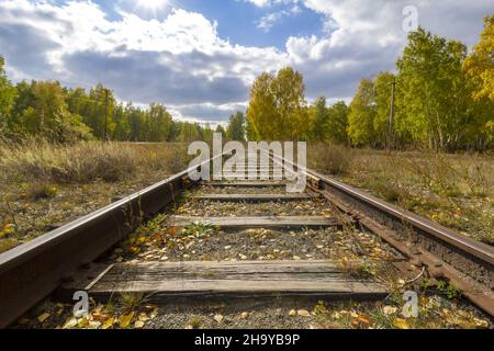 Les voies de chemin de fer vont dans la distance sous le ciel bleu et à travers les bois. Banque D'Images